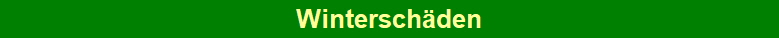 Winterschden